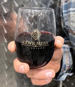 NEW - 2 Stemless Wine Glass 1